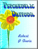 Psychedelic Daffodil